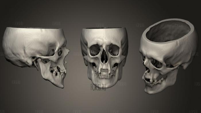 Skull Male 51yo stl model for CNC